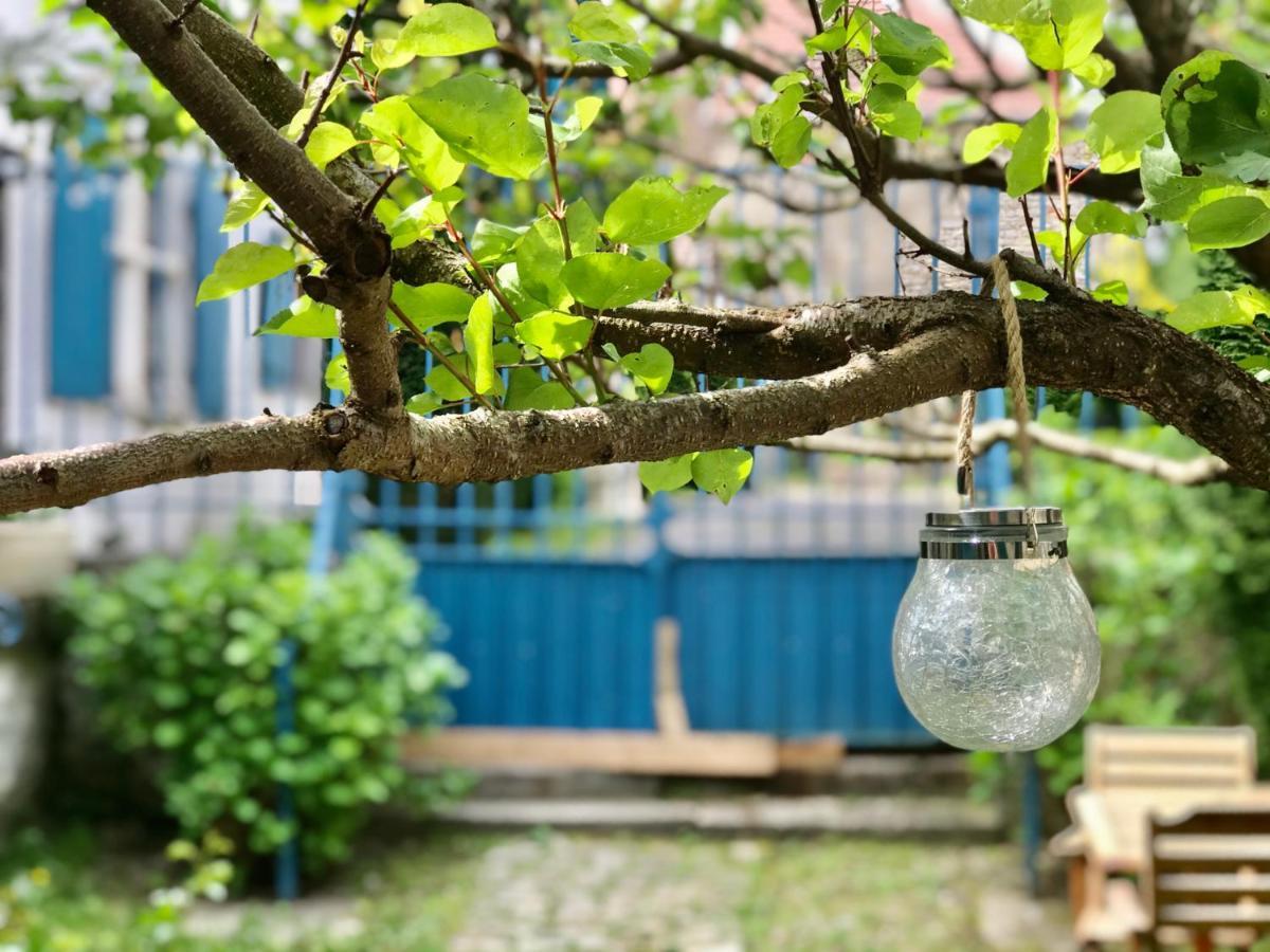 Manoir Saint-Pierre Bed and Breakfast Villersexel Εξωτερικό φωτογραφία