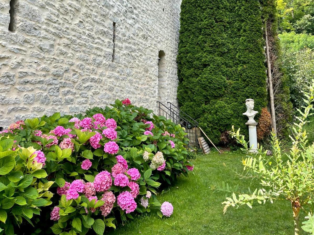 Manoir Saint-Pierre Bed and Breakfast Villersexel Εξωτερικό φωτογραφία