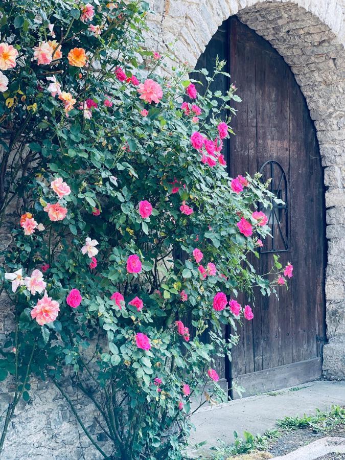 Manoir Saint-Pierre Bed and Breakfast Villersexel Εξωτερικό φωτογραφία